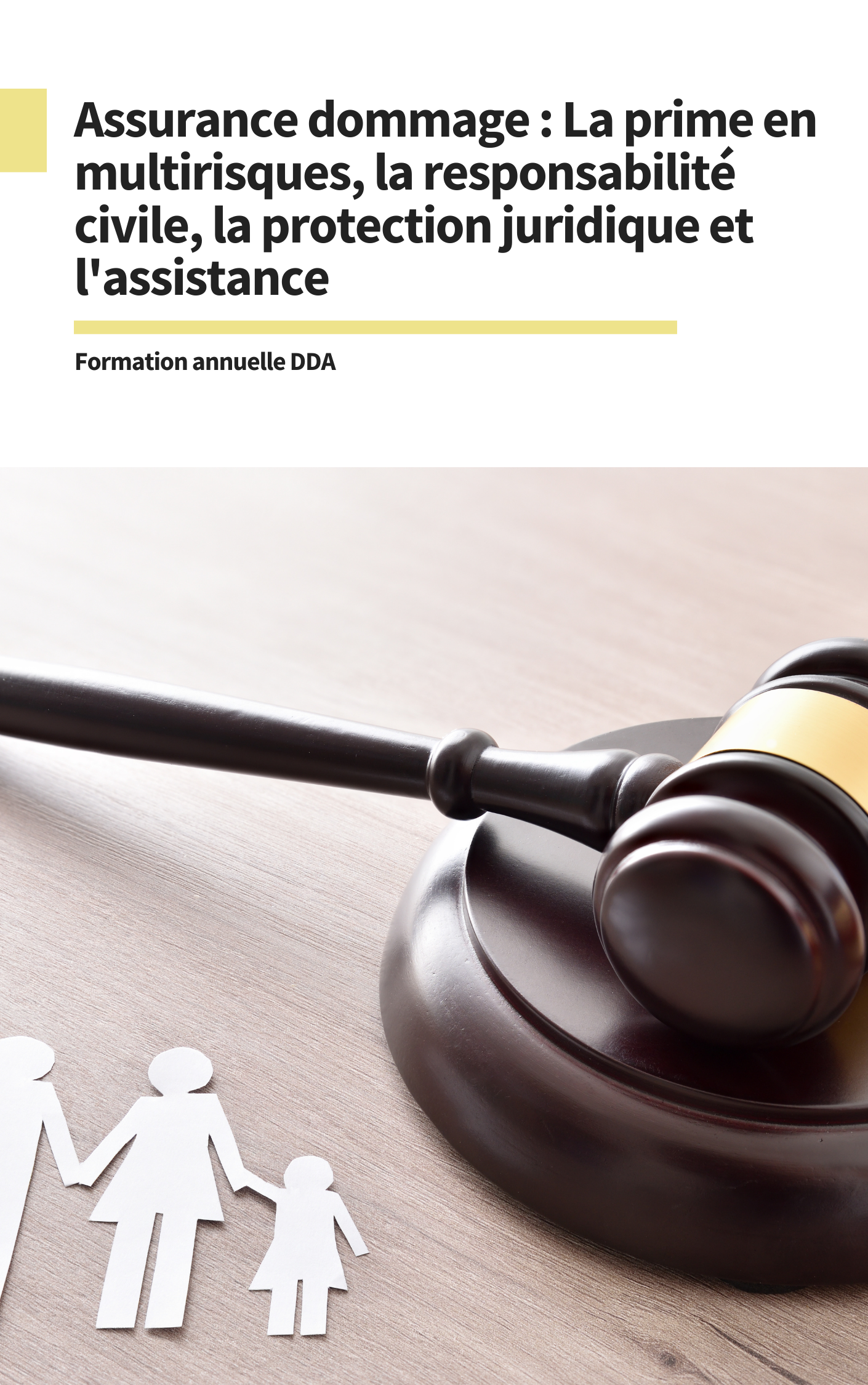 Assurance dommage : La prime en multirisques, la responsabilité civile, la protection juridique et l'assistance